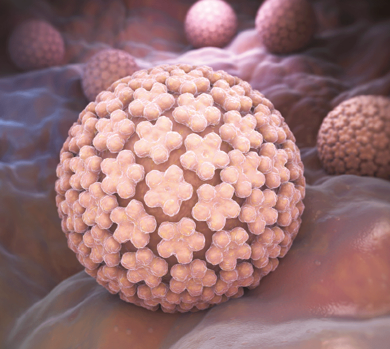 Protezione Papillomavirus