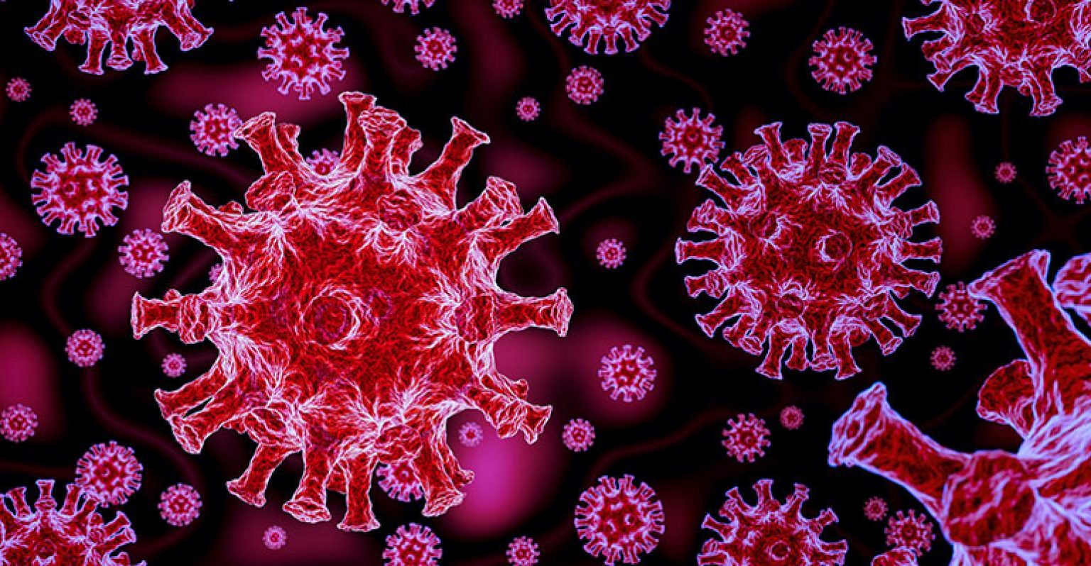 Test immunologici per l’identificazione di anticorpi IgM,IgG verso SARSCoV2 (CoviD19) Gruppo Test immunologici per l’identificazione di anticorpi IgM,IgG verso SARSCoV2 (CoviD19) Gruppo